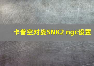 卡普空对战SNK2 ngc设置